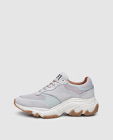 No. 30 WS - Gris